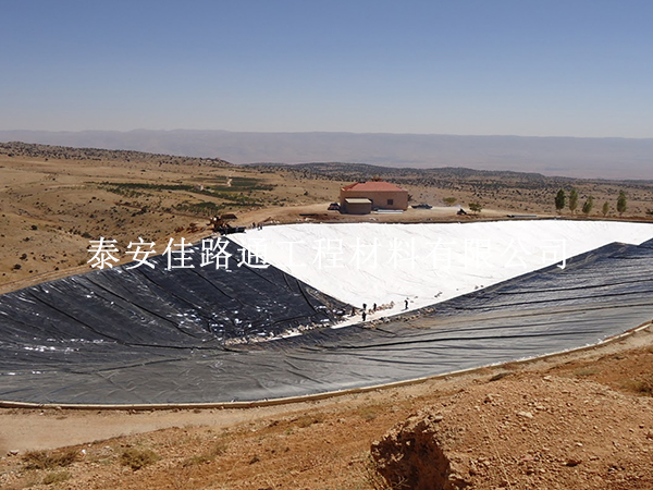 人工湖防滲新紀(jì)元：防滲膜如何筑起細(xì)菌防護(hù)的隱形長城