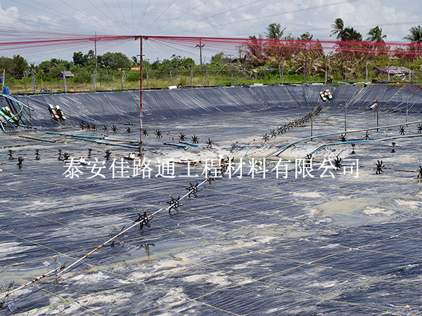 水產(chǎn)養(yǎng)殖防滲膜在藕池壩體防滲施工中的關(guān)鍵操作技巧