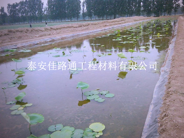 養(yǎng)殖防滲膜施工質(zhì)量咋檢測？這些技巧要掌握